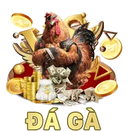 Độ tin cậy cao